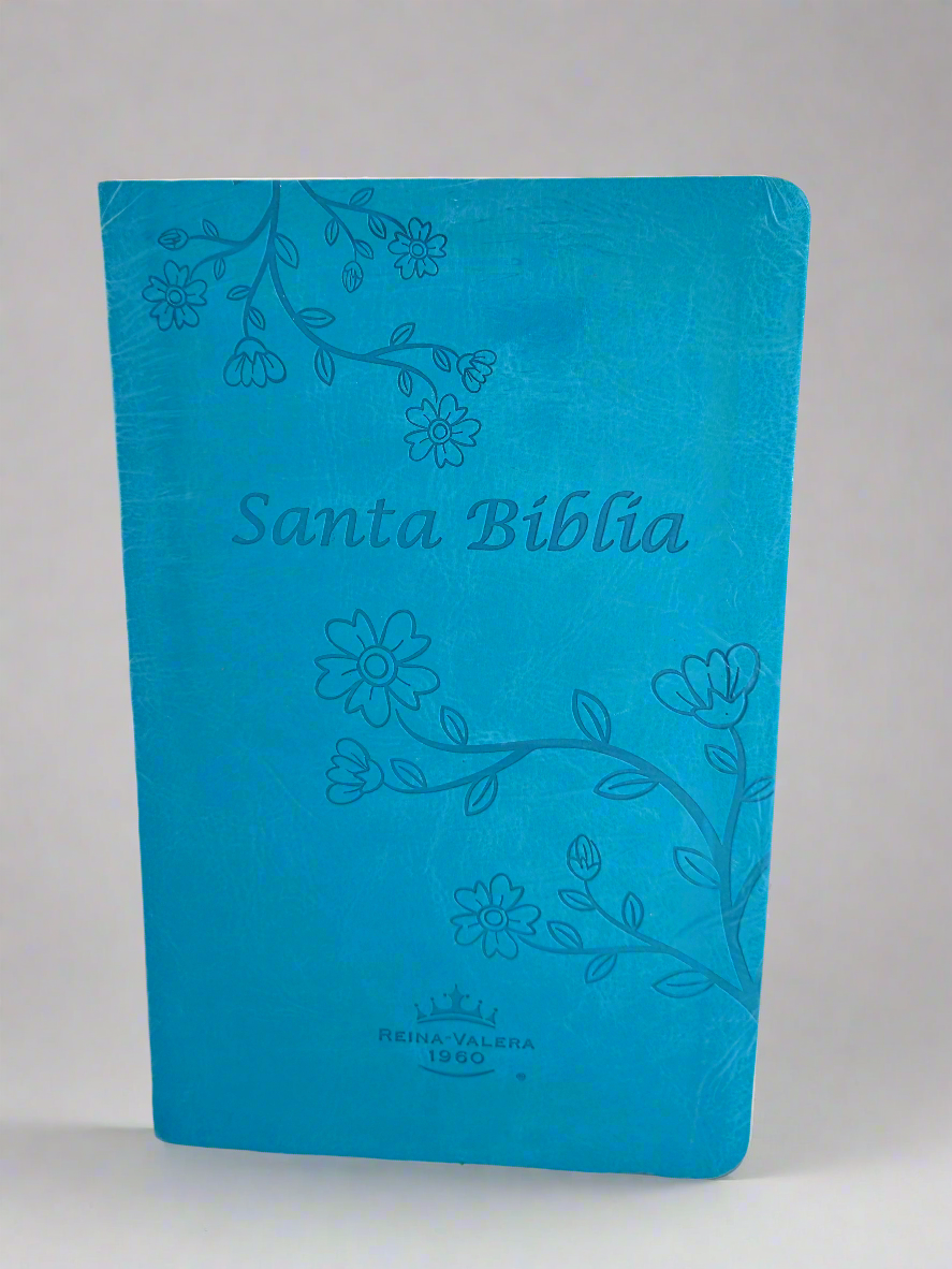 Santa Biblia RVR1960, Con Indice, Piel