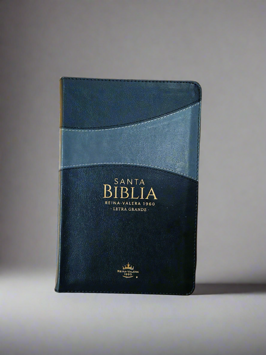 Santa Biblia Letra Grande RVR1960, Con Indice y Cierre, Piel (Negro,gris)