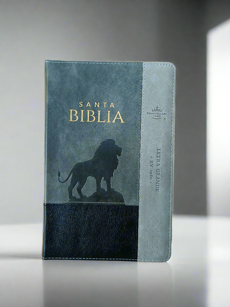 Santa Biblia Letra Grande RVR1960, Con Indice y Cierre, Piel (Leon Negro,gris)