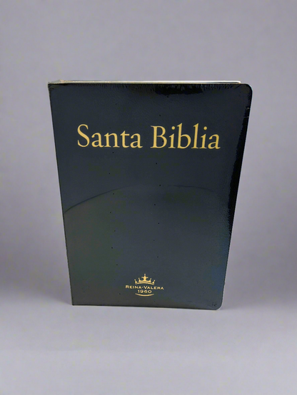 Biblia Letra Super Gigante RVR1960, Con Indice, Piel (Negro)