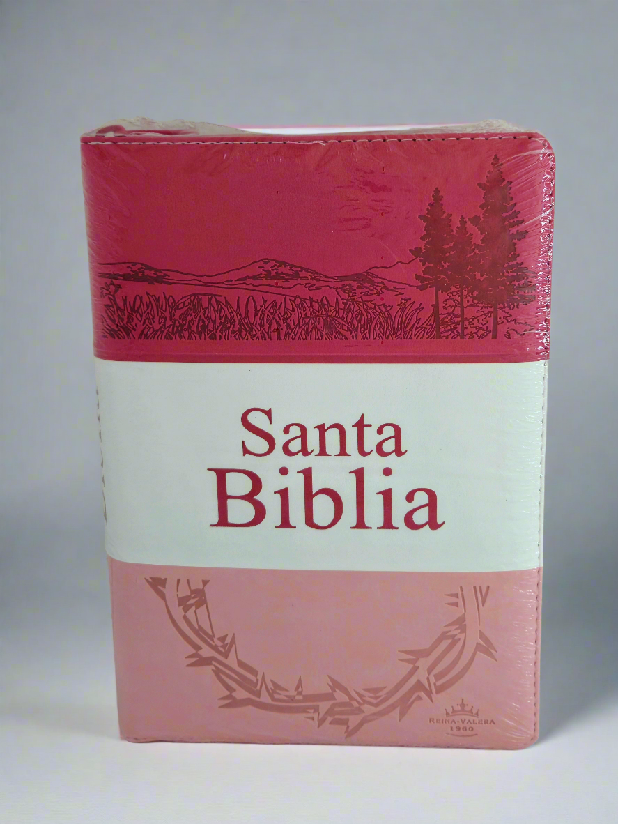 Santa Biblia, RVR1960, Letra Grande, Con Indice y Cierre, Piel