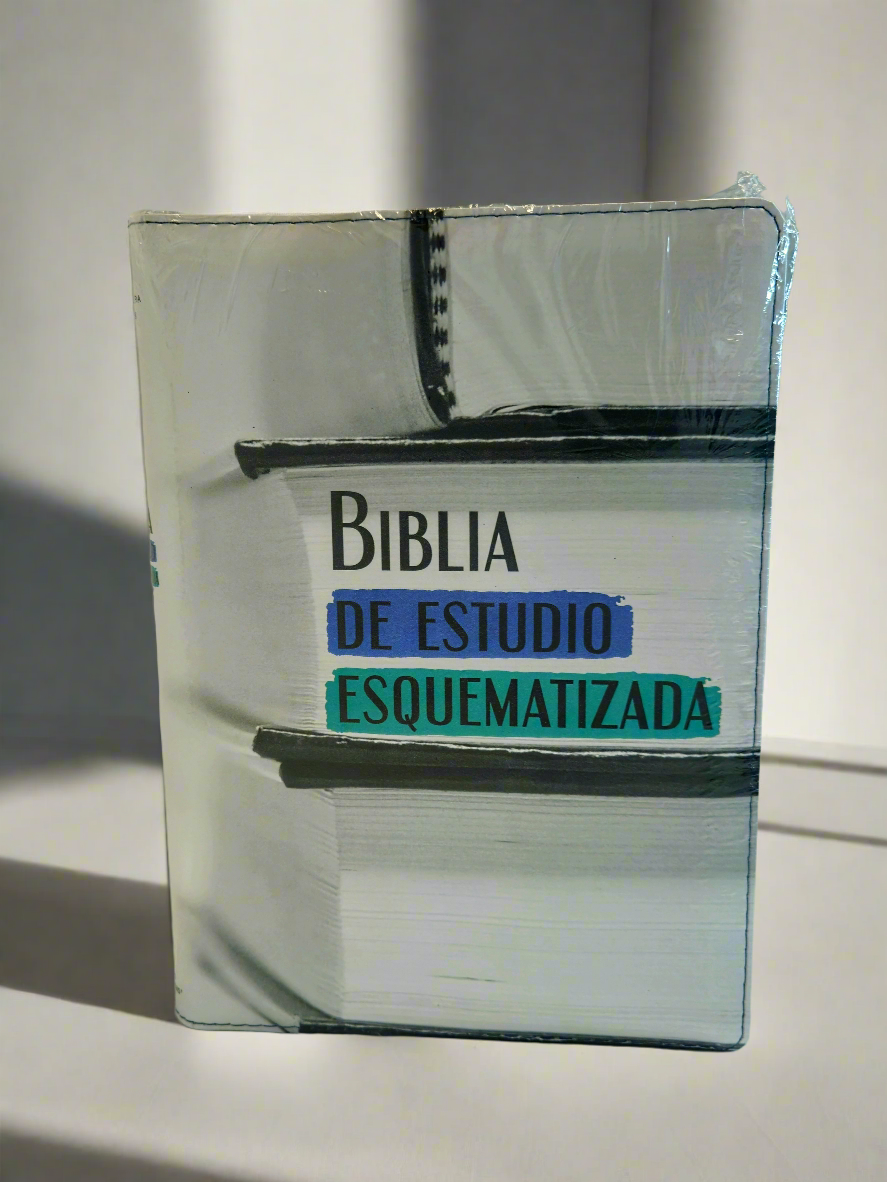 Biblia de Estudio Esquematizada RVR1960, Con Indice y Cierre, Piel