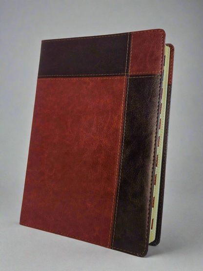 Biblia de Estudio Ryrie ampliada RVR 1960, Con Indice, Piel