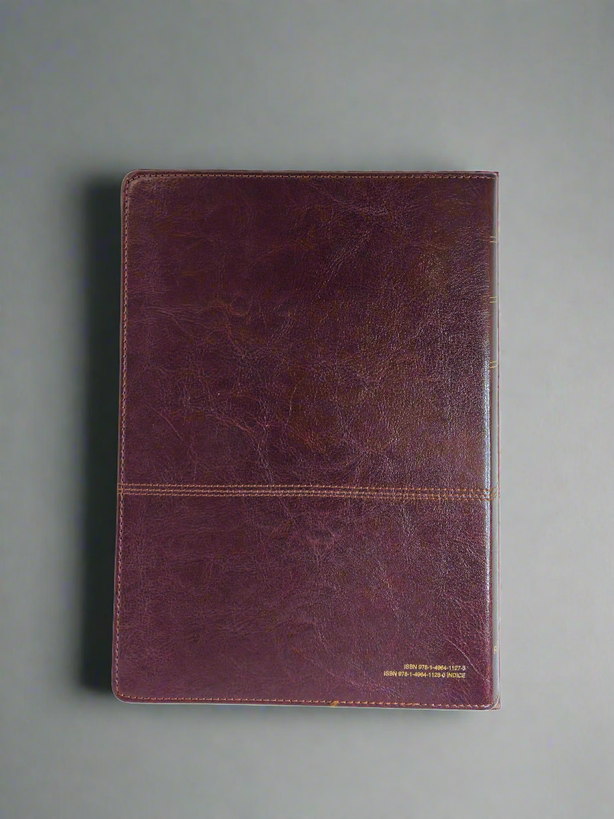 Biblia de Estudio del Diario Vivir RVR1960, Con Indice, SentiPiel (Cafe/cafe claro)