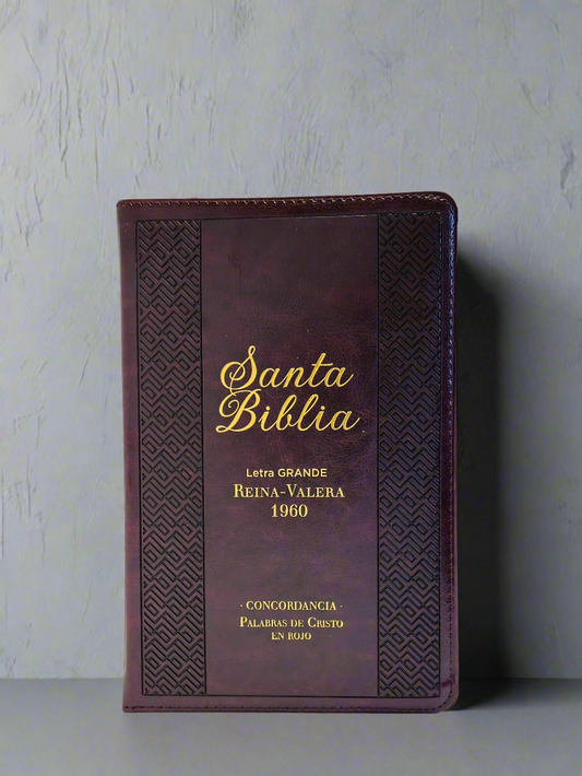 Santa Biblia Letra Grande RVR1960, Con Indice y Cierre, Piel (Classic vintage cafe)