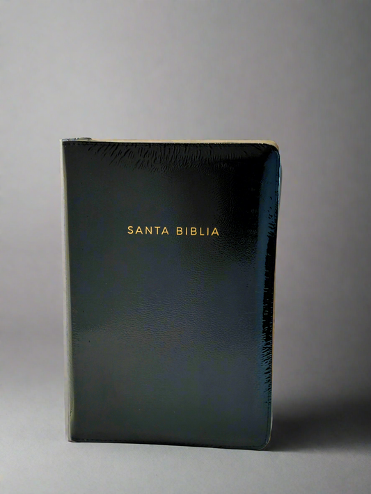 Santa Biblia Tam. Manual, RVR1960, Con Indice y Cierre, Piel