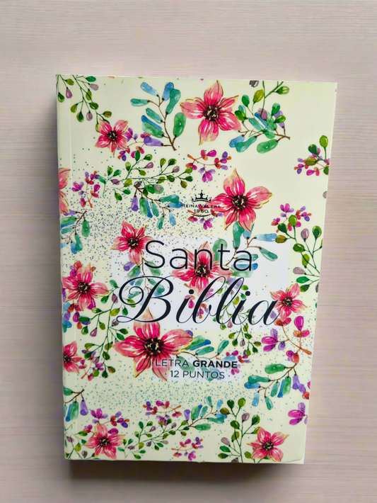 Santa Biblia RVR1960, Letra Grande, Con Indice, Tapa Flexible