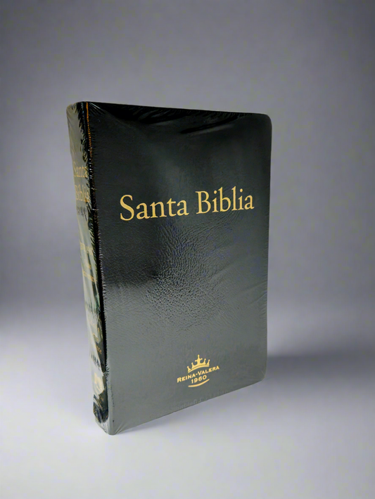 Biblia Letra Gigante RVR1960, Con Indice, Piel (Negro)