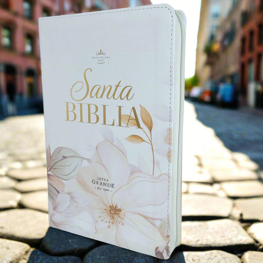 Santa Biblia Letra Grande RVR1960, Con Indice y Cierre, Piel (Vergel Verde)