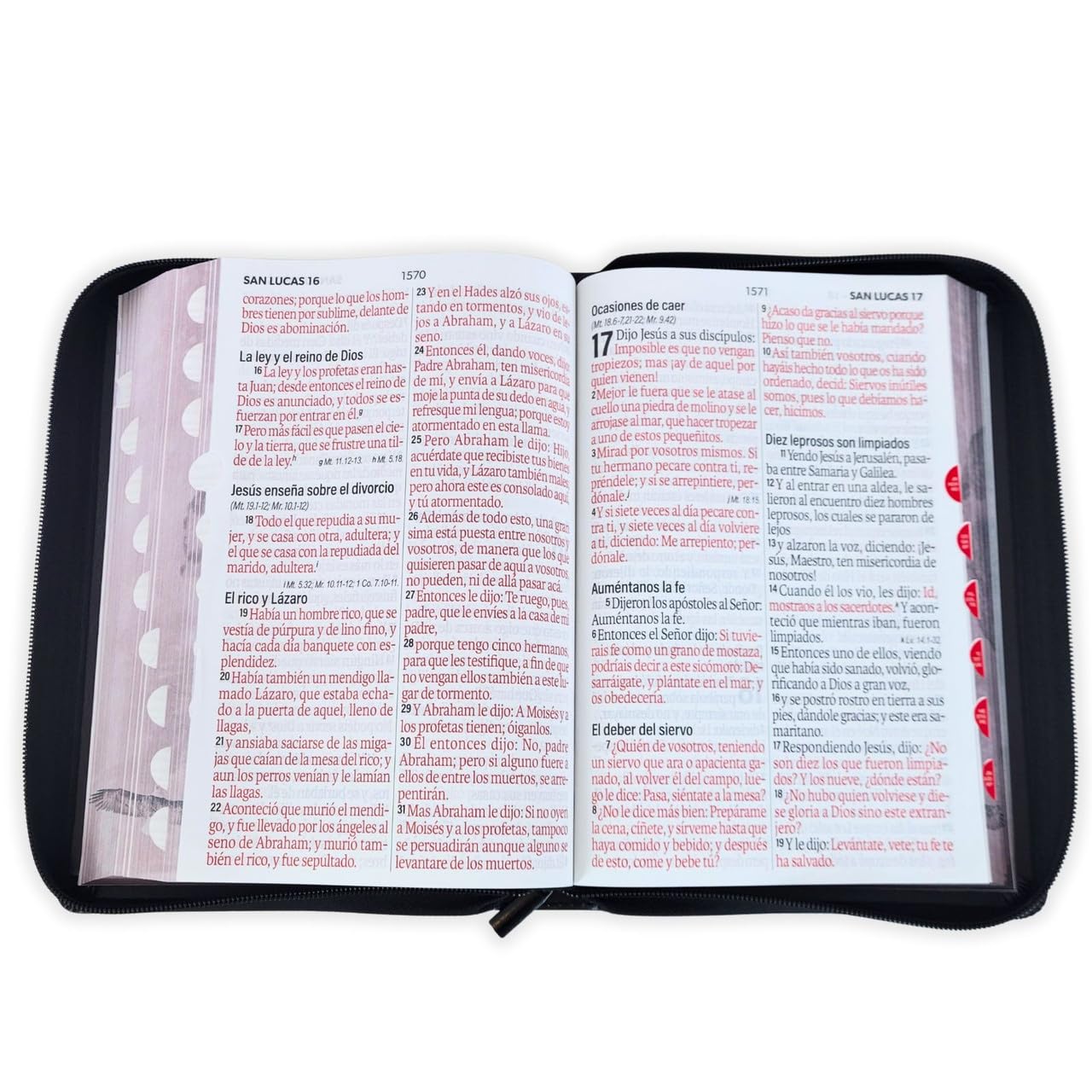 Santa Biblia Reina-Valera 1960 (Letra Super Gigante, Forro e indice)